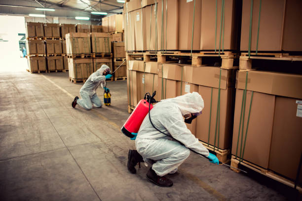 Best Pest Removal Services  in Jones Creek, TX