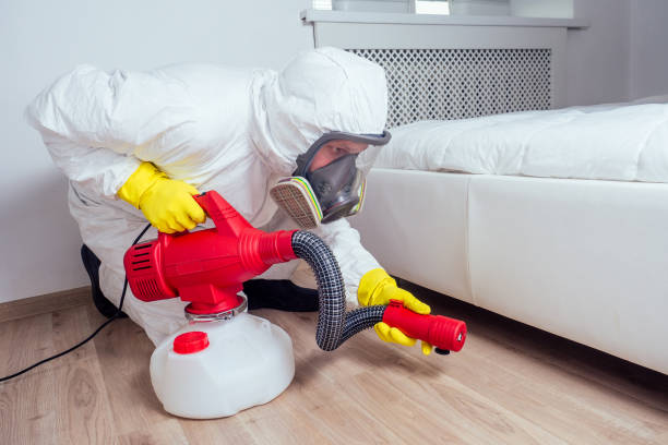 Pest Prevention Services in Jones Creek, TX