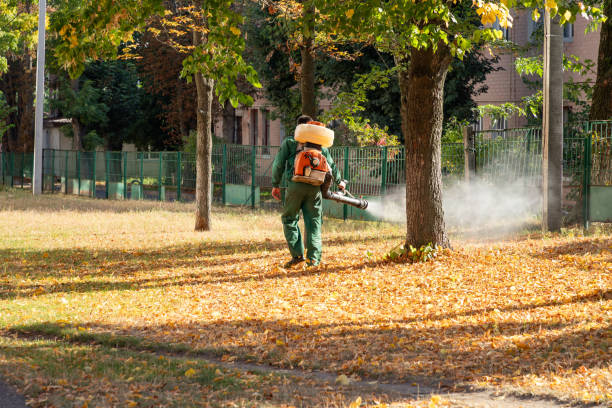 Best Rat Extermination Near Me  in Jones Creek, TX